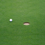 Birdie (2 Player Team)