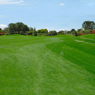 Fairway (Single Player)