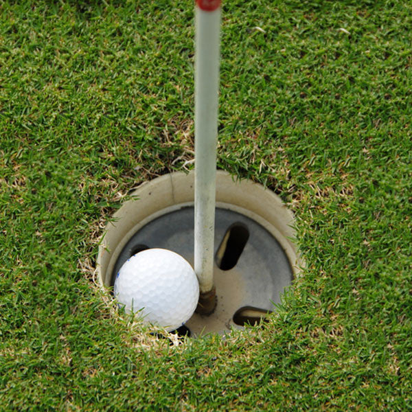 Hole in One (4 Player Team with logo sign)